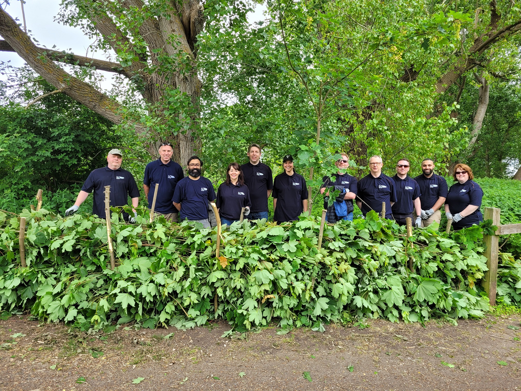 Sustainable ‘Dead’ Hedge Skills Given A New Lease Of Life In Kent