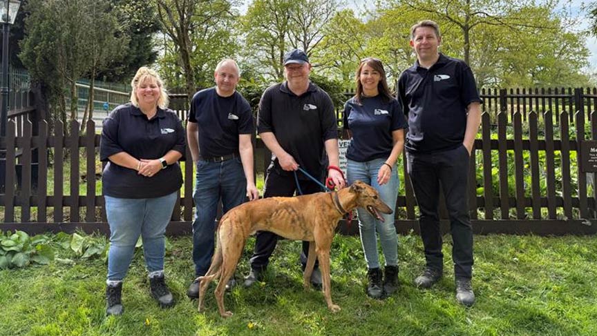 Volunteers join busy animal rescue centre to help heartbroken hounds