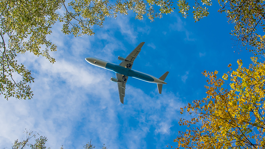 Aircraft With Trees